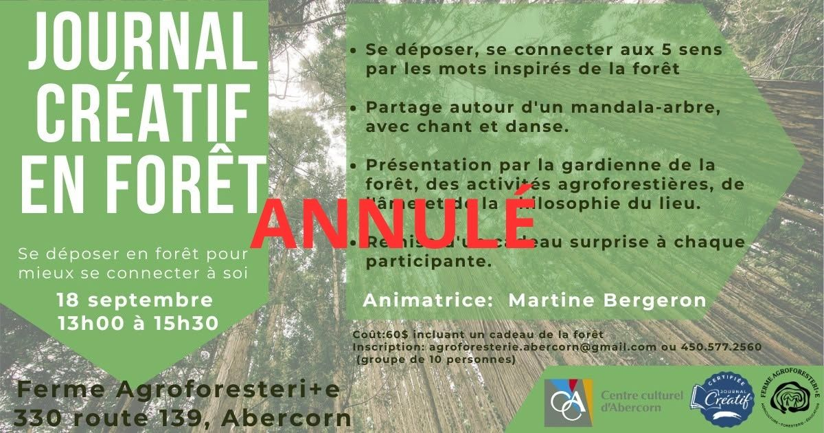ANNULÉ _ Journal créatif en forêt