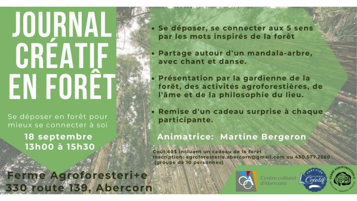 Journal créatif en forêt