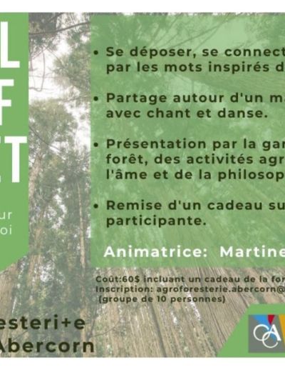 Journal créatif en forêt